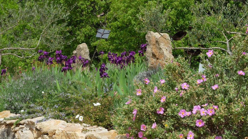 Les Hauts Des Materonnes Tourves Esterno foto